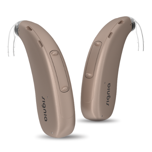 Signia Pure Charge&Go